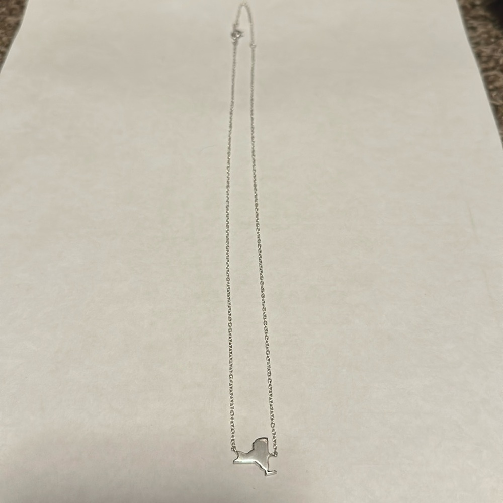 New York State outline necklace
